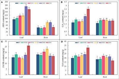 Divergent effects of single and combined stress of drought and salinity on the physiological traits and soil properties of Platycladus orientalis saplings